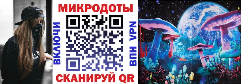 Купить где  Аткарск  Галлюциногенные грибы Psilocybine cubensis 